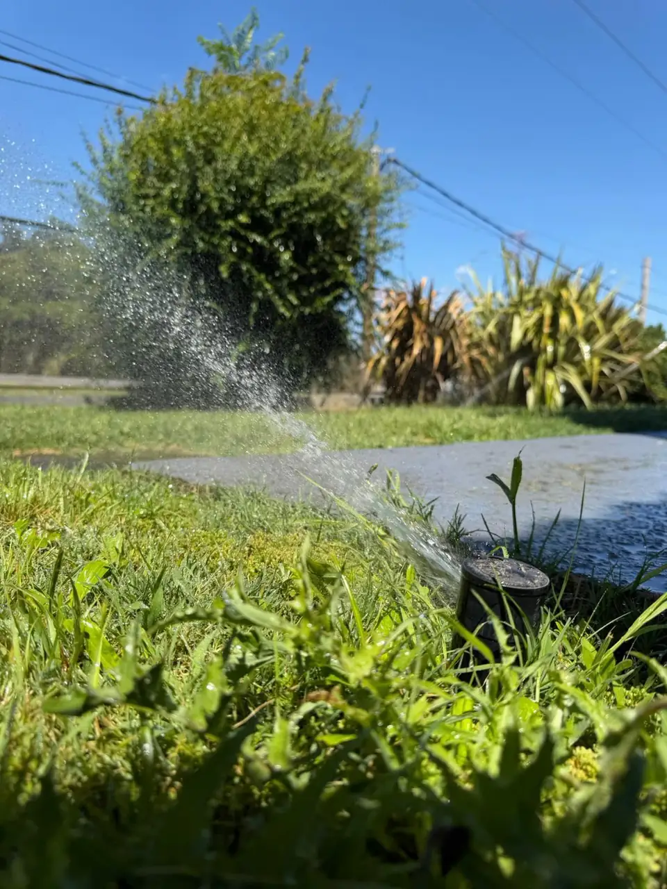 Aspersor emergente regando el césped de un jardín residencial